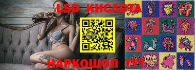 spice Абакан