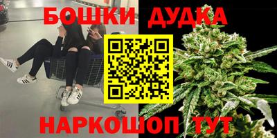 spice Абакан