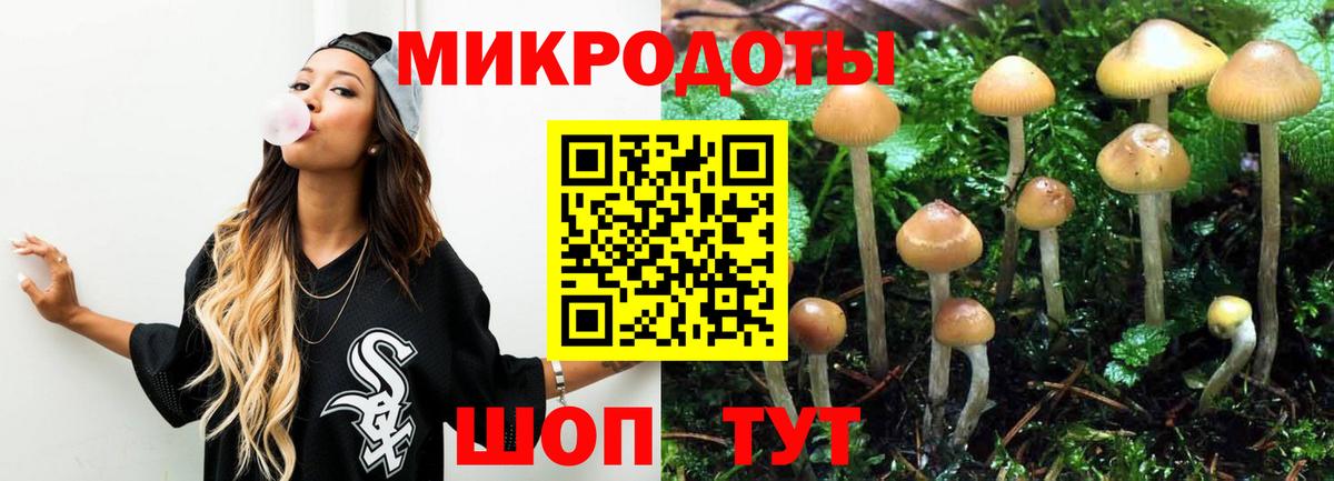 Псилоцибиновые грибы GOLDEN TEACHER Алексин