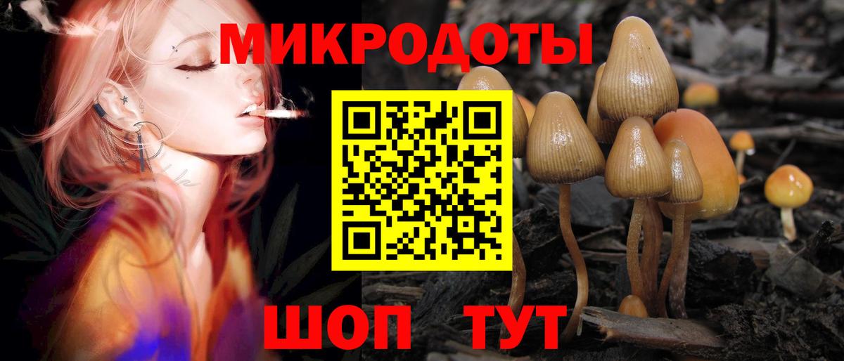 Галлюциногенные грибы мухоморы  Вход с VPN  сколько стоит  Алексин 